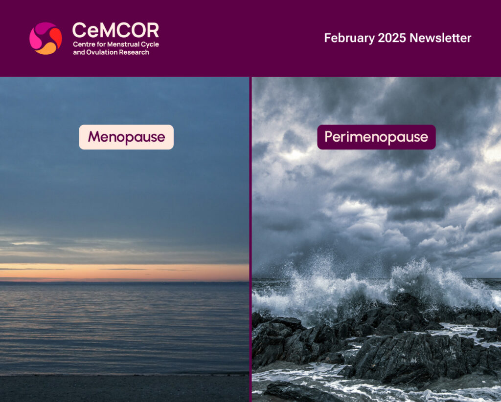 Header Image Email_Newsletter_CeMCOR_Feb2025